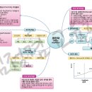 GWP 고시학원 김정겸입니다(11).-교육심리학 web정리 3-예상문제 이미지