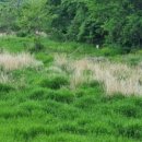 광암2농장 이미지