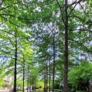강남한방공인중개사사무소 이미지