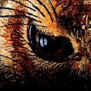 심심토끼 이미지