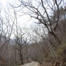 길상영농 | 봄 알리는 순천 여행 조계산 선암사