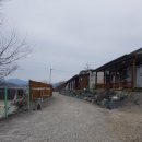 큐피트윗마을 이미지