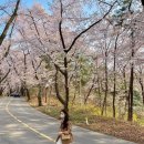 송산1리 마을회관 이미지