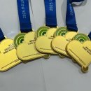 더뉴 태권도장 이미지