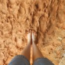 금천배수지근린공원 이미지