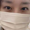 팔달세탁소 | 인계동 속눈썹 펌포인트 연장 425뷰티 C컬 후기