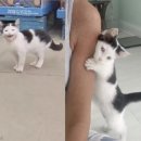 장마트 이미지