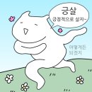 오토123 | 청도 화이트 오토캠핑장 후기 | 아이동반 캠핑, 벚꽃 상황 솔직후기