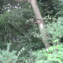 현대CAR클리닉 이미지