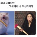 할렐루야 이미지
