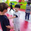 경희대 아이스타 태권도장 이미지