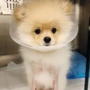 조치원메디컬센터 이미지