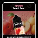 제스티 티스토리