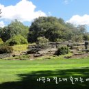 보타니칼 이미지