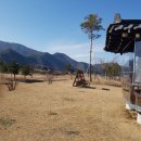 낙동강변12 이미지