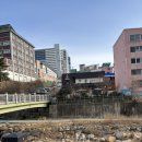 산좋고 물좋은 자리에 위치한 화명동 애견동반카페 ‘느루&#39;