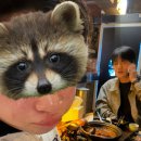 메이드가라오케 | 오이시쿠나레 모에모에뀽