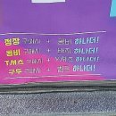 반도턱시 이미지