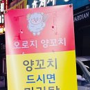 오로지양꼬치 이미지