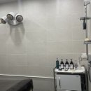 1인세신샵 쉼 이미지