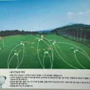 무왕 골프연습장 네이버블로그
