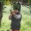 소통농장2 이미지