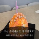 [오산 수제케이크 강추] 릴리아포코 — 오산대역 케이크 솔직 후기