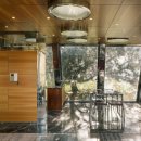 숲속의 휴식 이미지