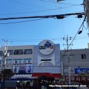 타이어프로 광안점 | 난생 처음 부산 여행 2일차 : 돼지국밥/부산시티투어버스/오륙도/해동용궁사/UN기념공원/이재모피자...