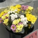 도심속작은자연flos