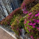 하상바오로의 집 이미지