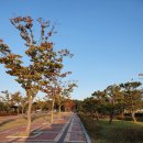 월드컵빌리지 이미지