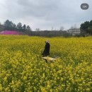대웅구내식당(경아식당) | 친구따라 Q&amp;A쓰기