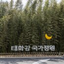 황룡강변(우안)국가하천 자전거도로-2 | [울산 남구] 울산대공원 - 전 견종 가능 · 맹견 입마개 · 목줄 착용 · 배변봉투 지참