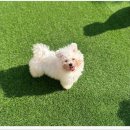 코코플레이존 이미지