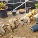 다들바위 치유농장 이미지