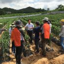 이천시농업기술센터 이미지