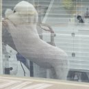 위드퍼피 애견미용실 이미지