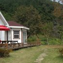 비피펜션 이미지