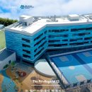 싱가포르 캠프 추천 | 샹그릴라 가족 스테이와 IB 월드스쿨 체험이 함께하는 InBloom Singapore IB Camp