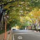 걸작떡볶이 화정점 | [화정 떡볶이] 걸작떡볶이치킨 신메뉴 감바스떡볶이 와 레몬크림새우치킨 후기