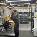 피티타임 이미지