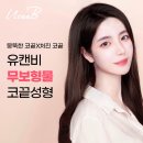 유캔비성형외과 네이버블로그