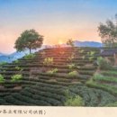 정화다방 이미지
