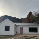 [숙소 정보] 타이니포춘 :: 경기도 포천 단독 캠핑장 독채 단체 이용 가능 반려동물 동반 오직 한 팀만...