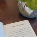 우리동네책문화 협동조합 이미지