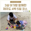 3살 아기랑: 제주도 4박5일 일정 정리(가볼만한곳, 식당)