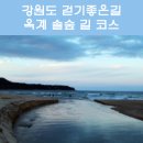 솔숲길 이미지