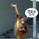 대림역 9~12번 출입구 | W6-5. [웨딩홀 투어] 마렌지9 투어 후기 (계약 X) | 27년 상반기 견적 공유