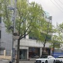 대명남로 | 대구 앞산 양식 맛집 대명동 데이트 코스 단영 내돈내먹 후기
